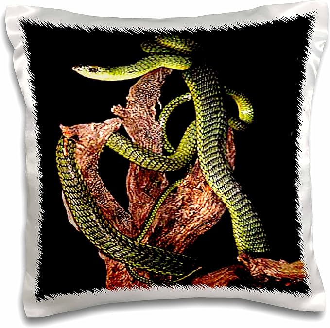 Snakes Boomslang Snake 16x16 inch Pillow Case (pc_611_1) Amazon.ca
