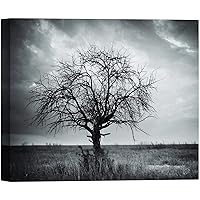 SIGNWIN Canvas Wall Art A Wisdom Tree in The Middle of a Grass Field Nature Wilderness Photography Modern Art Contemporary Dramatic Black and White for Living Room, Bedroom, Office - 12x18 inches
