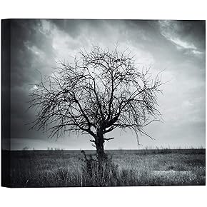 SIGNWIN Canvas Wall Art A Wisdom Tree in...