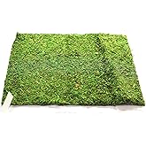BD CRAFTS Preserved Moss Runner and Mats (18in x 16in mat)