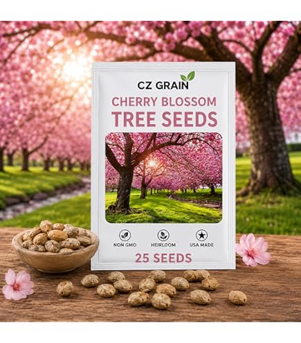 Amazon.com : 12 Japanese Flowering Cherry Blossom Seeds : Patio