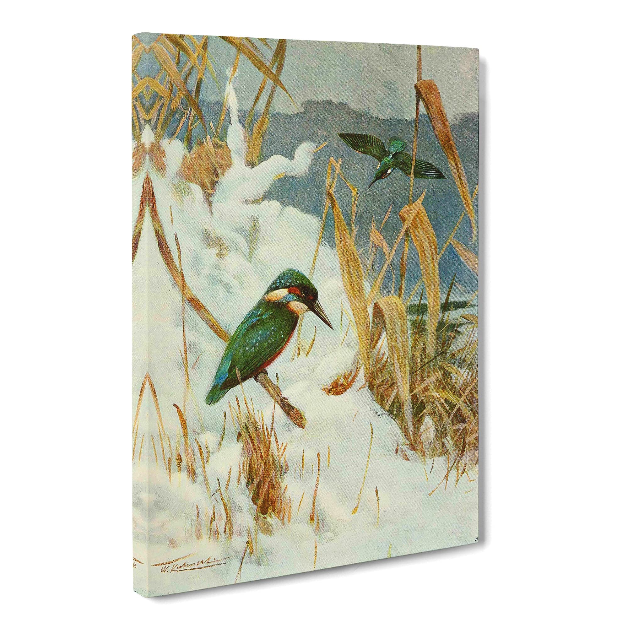 W Kuhnert Kingfisher Canvas Print | Gallery Wrapped 30mm Frame Wall Art | 20x14 inches | Ready to Hang | Retro Bird Picture | Living Room Bedroom Lounge Office