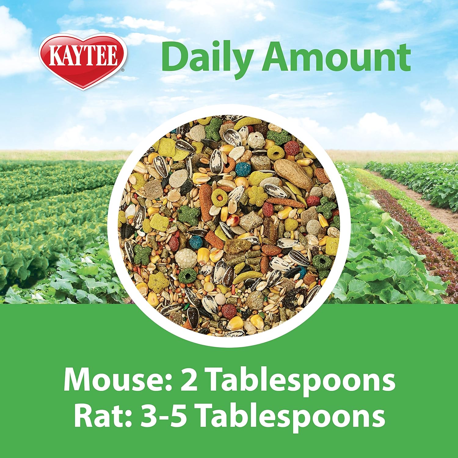 Kaytee Fiesta Mouse And Rat Food, 4.5-Lb Bag : Dry Pet Food : Pet Supplies