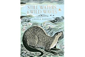 Still Waters & Wild Waves: the beautiful new book from printmaker and illustrator Angela Harding