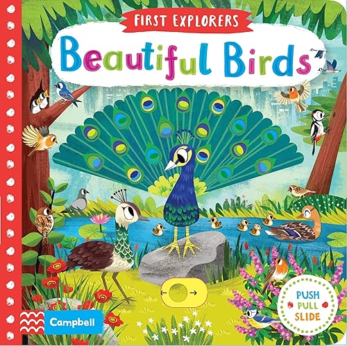 Download Beautiful Birds PDF