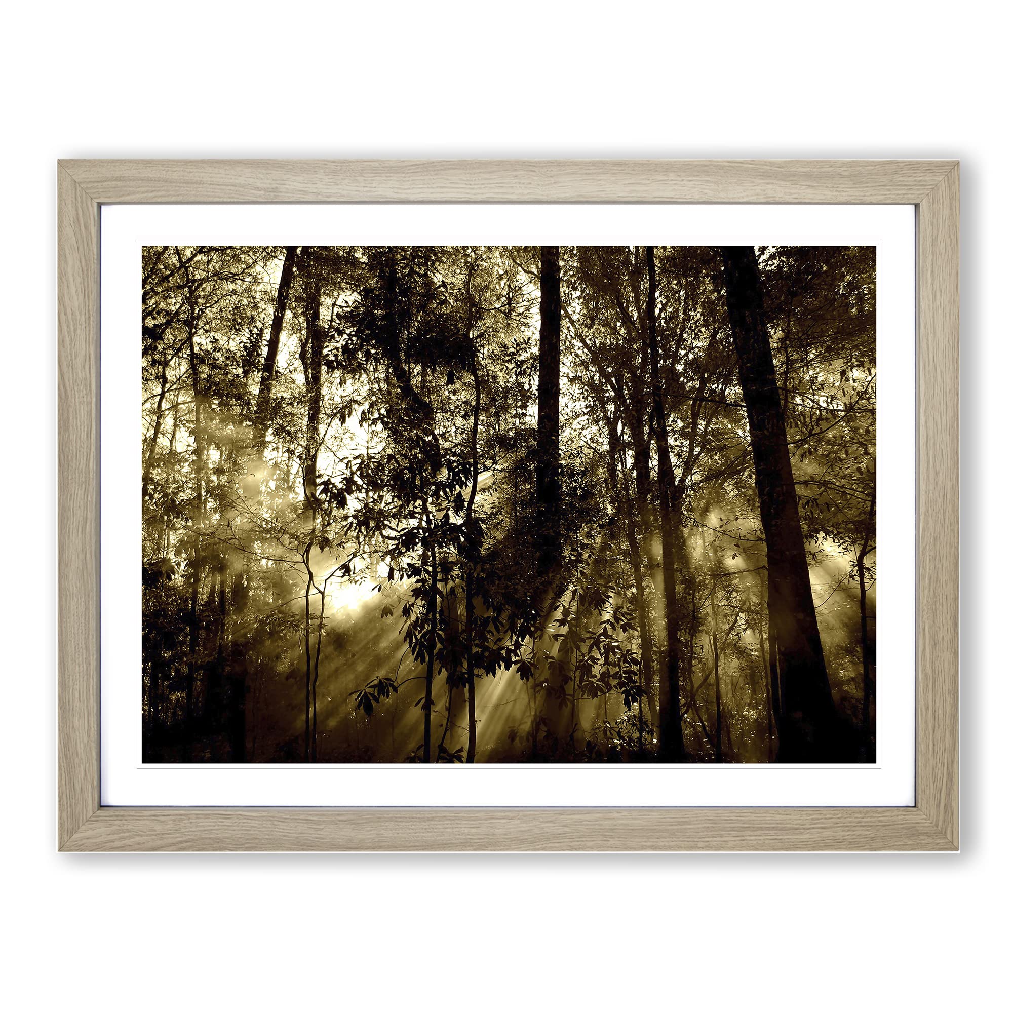 Sunlight Forest Woodland Modern Framed Wall Art Print, Ready to Hang Picture for Living Room Bedroom Home Office Décor, Oak A4 (34 x 25 cm)