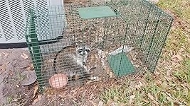 Review Image by J. Irby