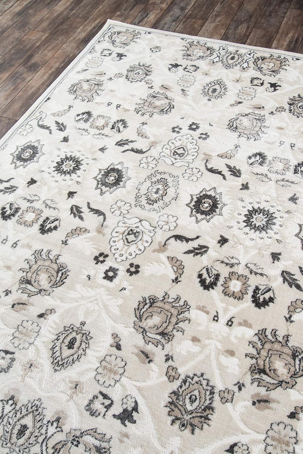 oregon rug ivory on Home Decor Momeni Carolcg 04ivy2030 Carroll Gardens Area Rug Ivory 2 X 3 Area Rugs Runners Pads