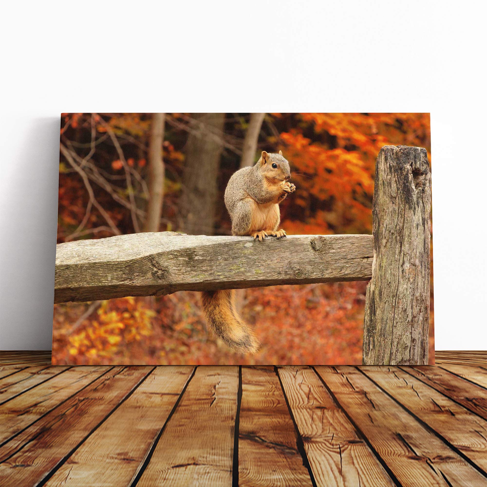 Squirrel Autumn Forest Canvas Print | Gallery Wrapped 30mm Frame Wall Art | 20x14 inches | Ready to Hang | Modern Landscape Picture | Living Room Bedroom Lounge Office