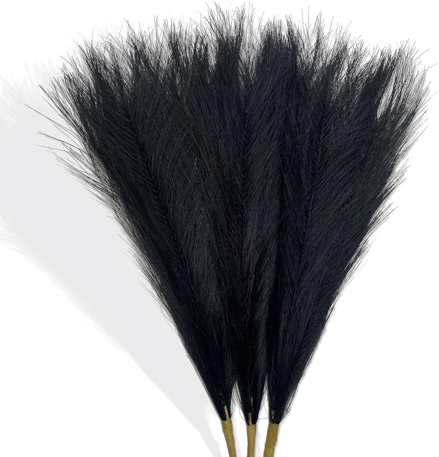 Dried & Preserved Flora - Acfruits Black Pampas Grass Small, 3 Pcs 17