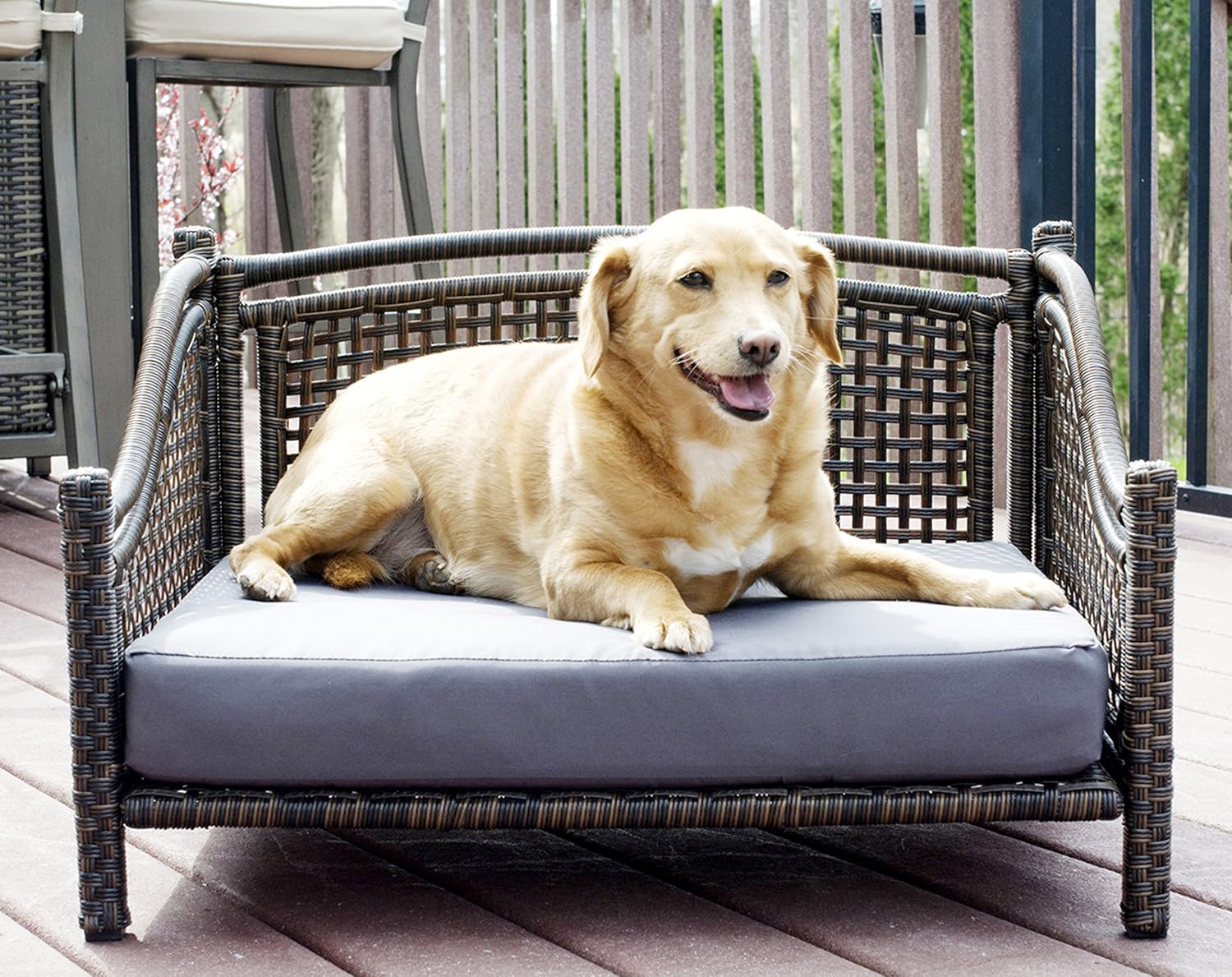 Maharaja Rattan Pet Day Bed, Indoor/Outdoor : Pet Supplies