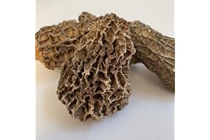 Golden Tea Leaf Canadian Wild Morel Mushrooms - Dried, Dried Morel Mushrooms, 28.30 Grams