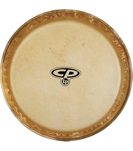 LP コンガヘッド LP265C Amazon.co.jp: LP (ラテンパーカッション) / LP265CE, 12 1/2