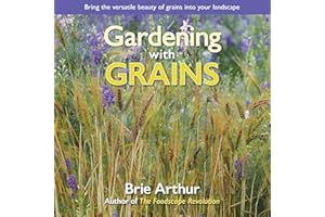 Gardening with Grains: Bring the Versatile Beauty of Grains to Your Edible Landscape