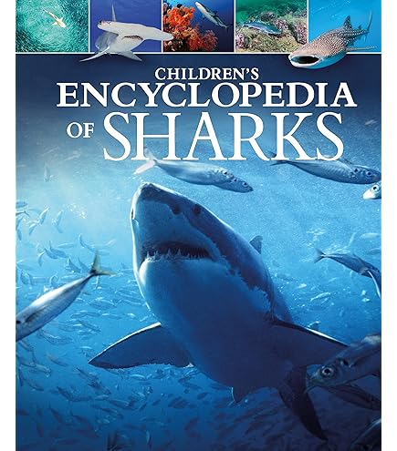 Amazon.com: EuroGraphics Sharks Poster, 38.5 x 26.75 inch: Shark