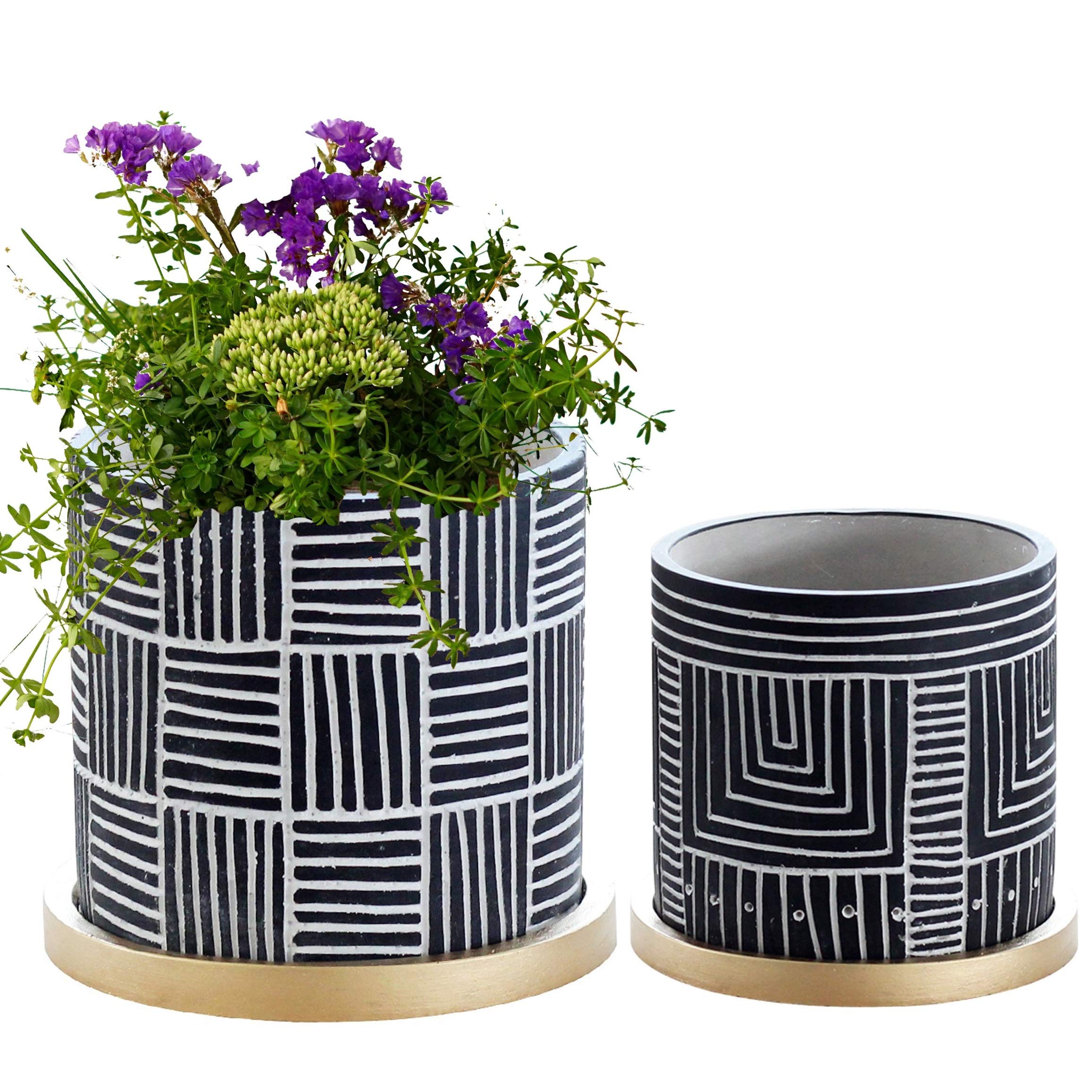 Olly & Rose Designer Black Plant Pots Set 2 with Gold Saucers Ceramic Flower Pot Planters Indoor and Outdoor (Black)