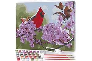 Opalberry Paint by Numbers for Adults - Number Painting Kit with Framed Canvas - DIY Painting by Numbers - 16x20 Acrylic DIY Painting: Terry Isaac's Backlit Cardinal