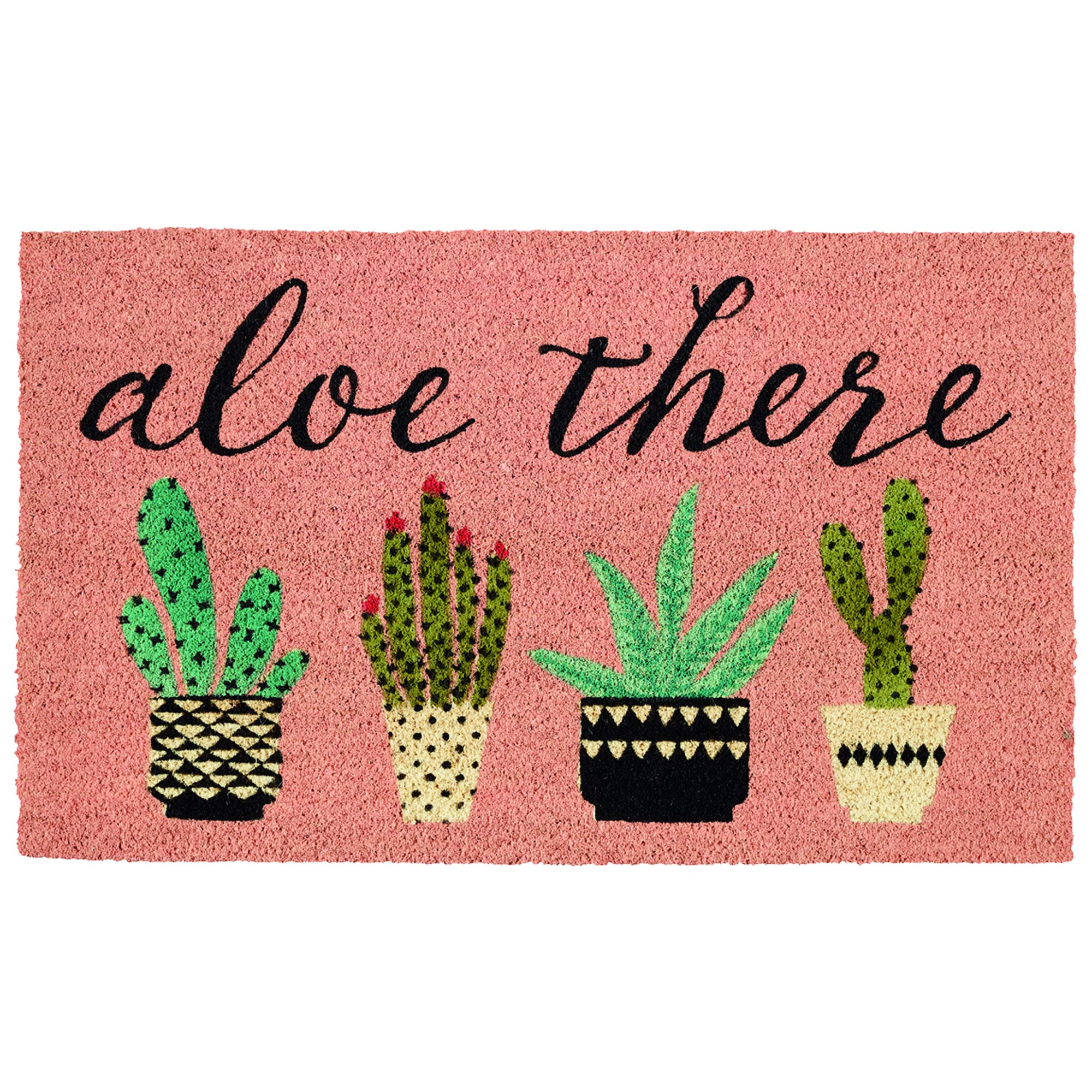 DII Natural Coir Doormat, Decorative Hello Mat, Aloe There, 18x30