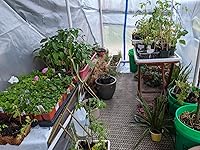 Review Image by B. Stiner B. Stiner