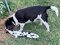 Review Image by Katz