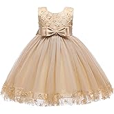 Weileenice Holiday Big/Little Girl Flower Lace A-line Wedding Party Dresses Kids Pageant Birthday Formal Dress