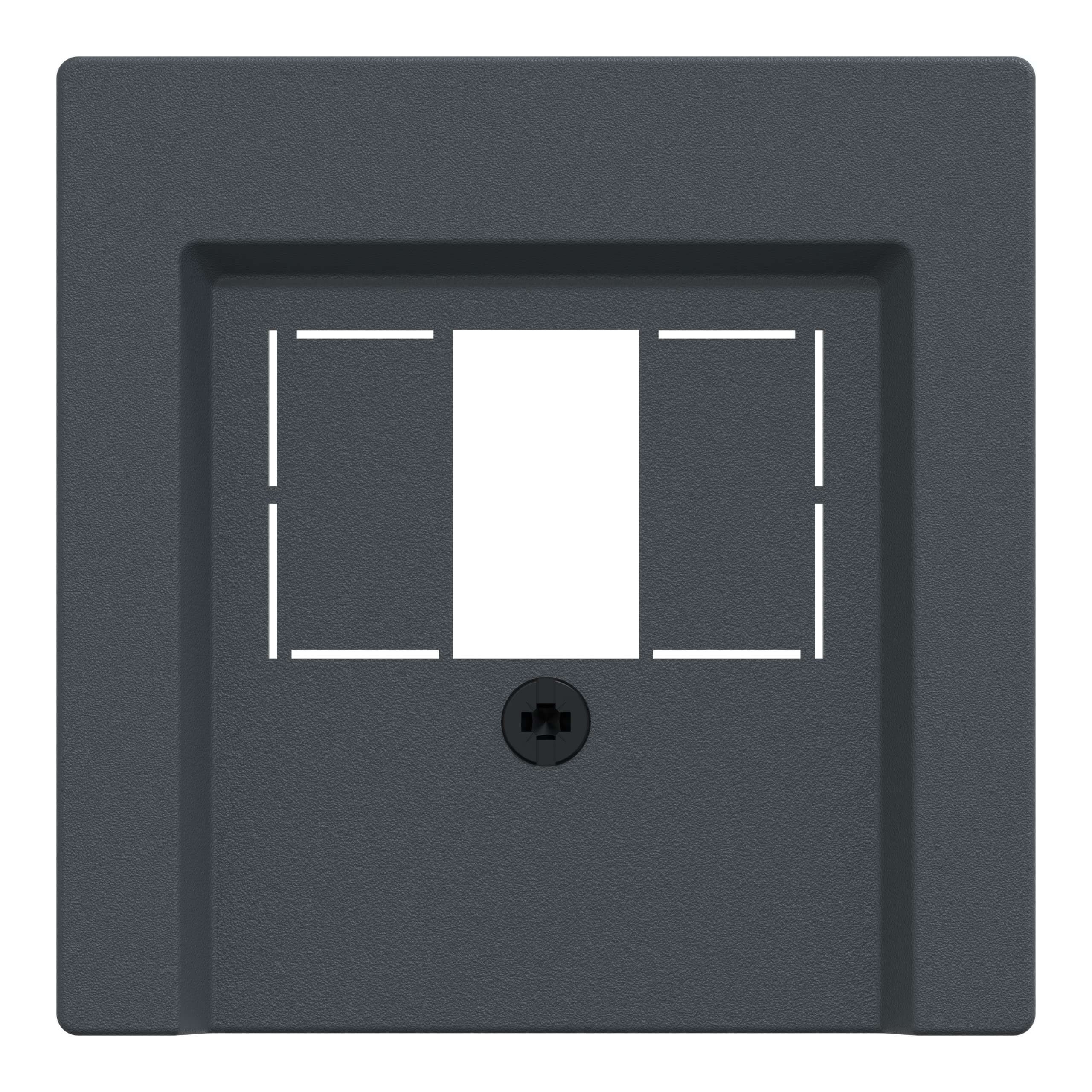Merten System M 297914 Central Plate for TAE Audio USB Anthracite