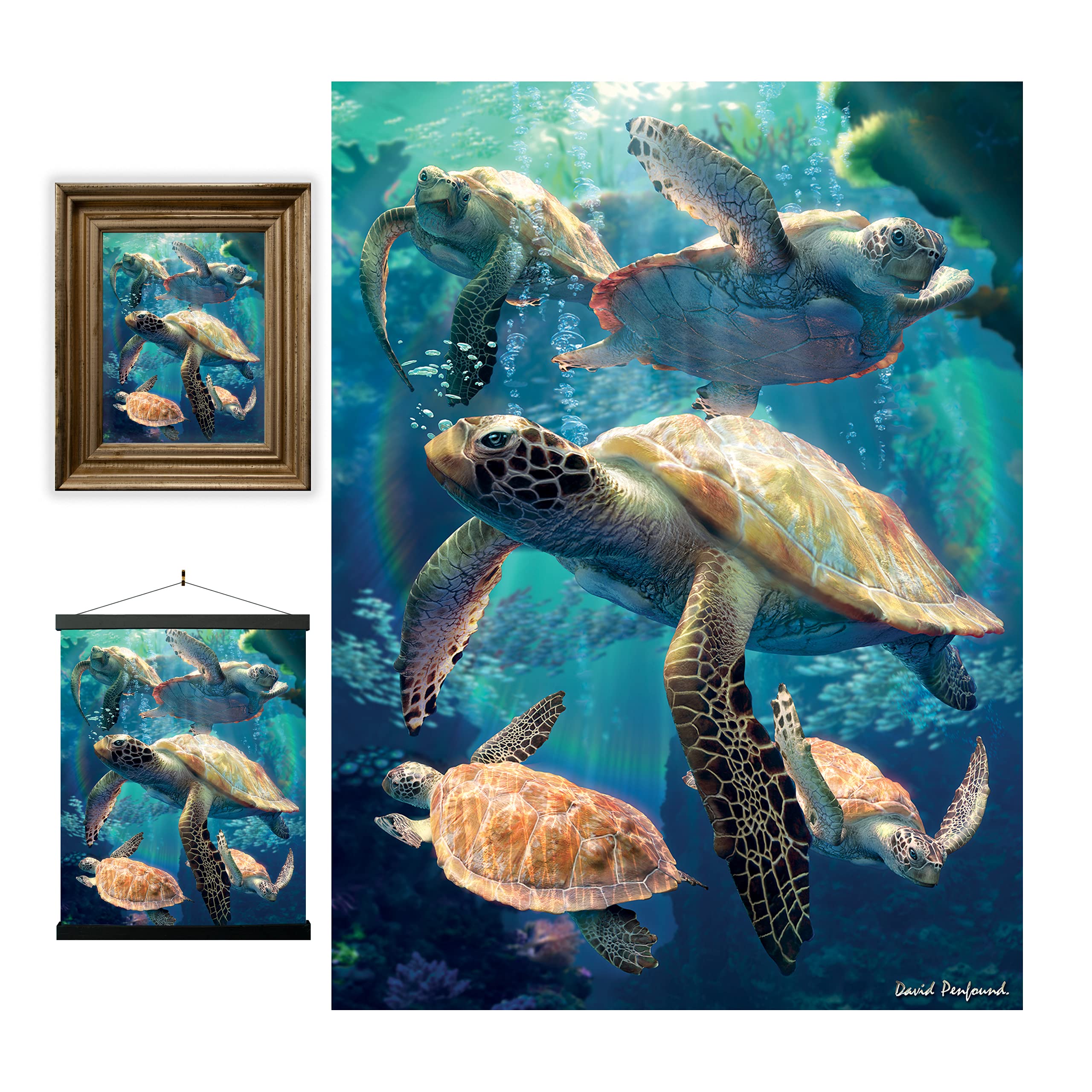 3D LiveLife Lenticular Wall Art Prints - Sea Turtle Swim from Deluxebase. Unframed 3D Ocean Poster. A perfect wall filler. Original artwork licensed from renowned artist, David Penfound
