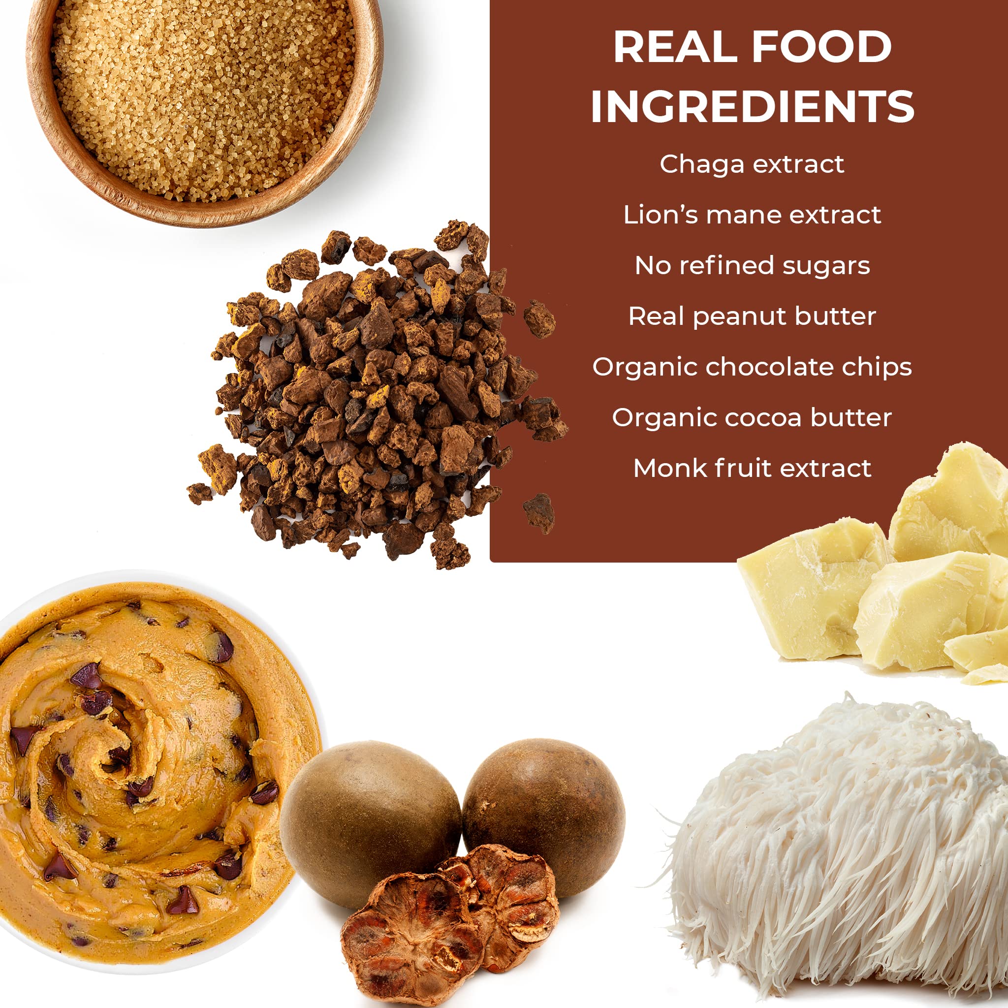 Laird Superfood Functional Protein Bars – Protein Bar but Better with Real Ingredients, Functional Mushrooms 10g Plant-Based Protein, 6g Fiber - Non-GMO - Peanut Butter Chocolate Chip, 10 Count (Pack of 1)