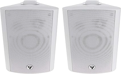100v speakers