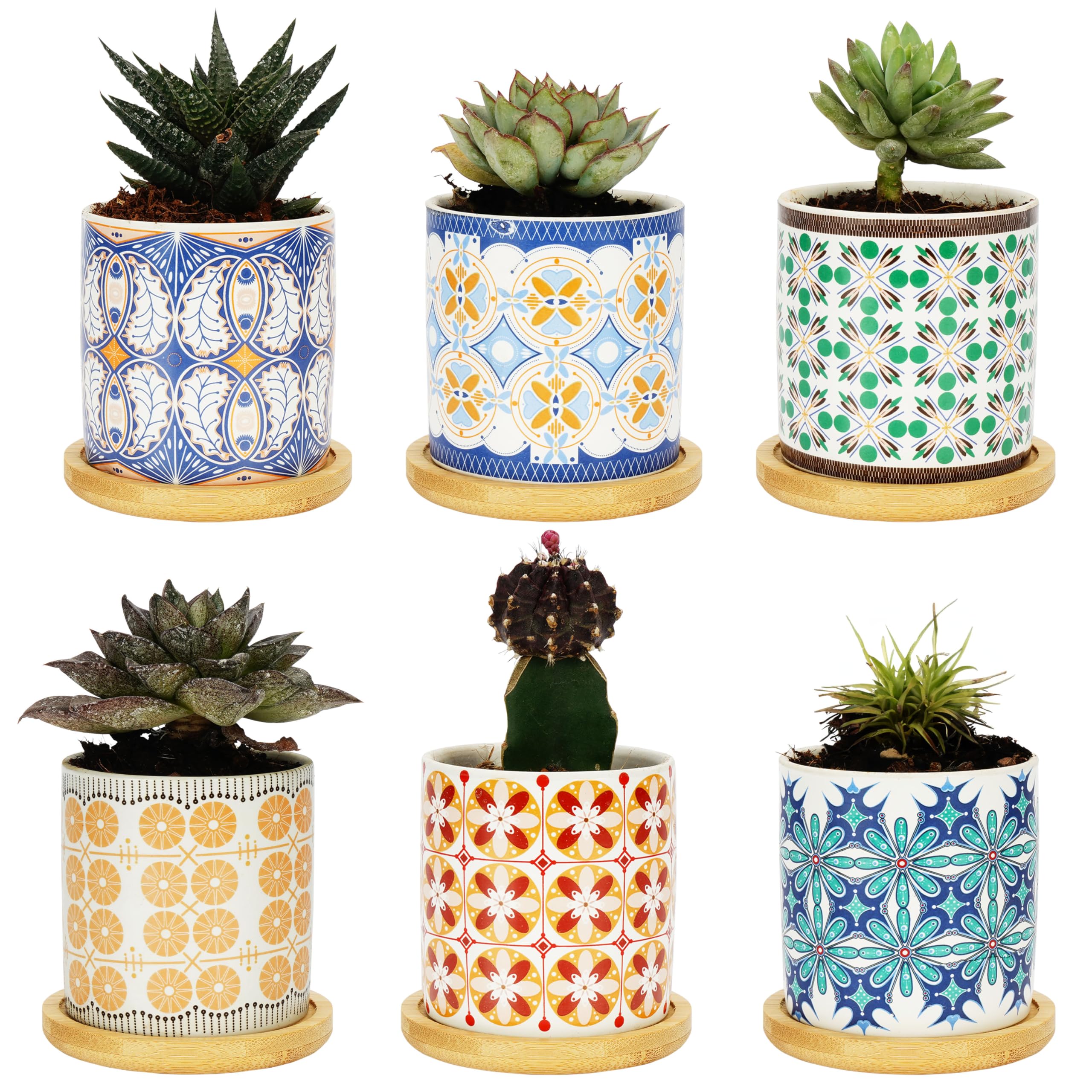 BELLE VOUS 6 Pack of Assorted Ceramic Plant Pots - 7.5cm/3 Inches Succulent Pots with Bamboo Trays & Drainage Holes - Flower Pots for Cactus/Indoor Succulents - Home/Office Decoration
