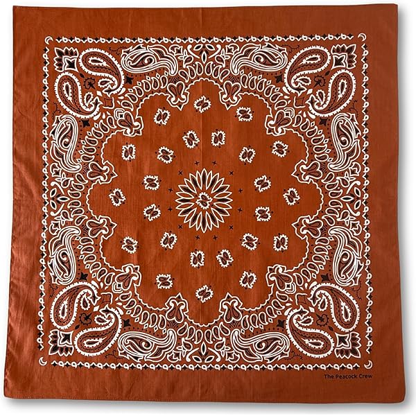 小物 paisley pattern long stole Paisley Pattern Large Scarf Bandana Furoshiki Neck Stole