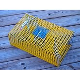 OceanBuilt Baitfish &amp; Pinfish Traps &ndash; Durable Wire Fishing Traps &ndash; Multiple Mesh Sizes, Trap Sizes &amp; Buoy Kit Options