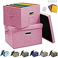 JSungo 2 Pack File Box with 10 Hanging Filing Folders, Document Organizer Storage with Lid, Collapsible Linen Hanging Filing Organization, Office Portable Storage with Handle, Pink