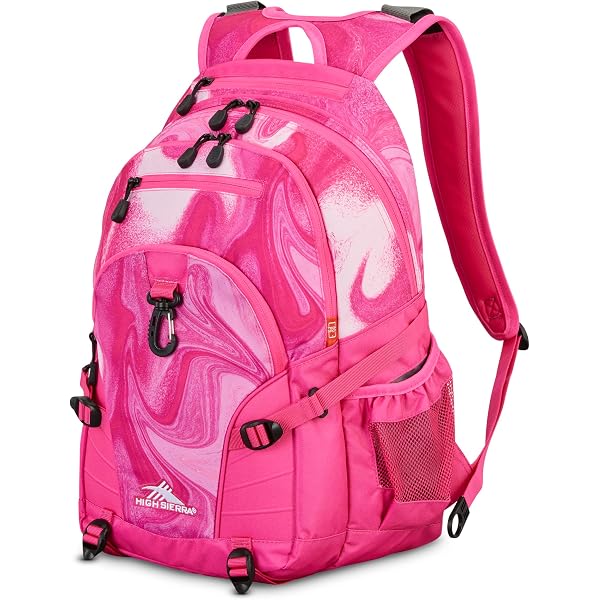 NWT High Sierra Backpack/ Bookbag/ School. Pink and Black. High Sierra Backpack Pink Backpacks & Bags for Kids for sale  main image 4
