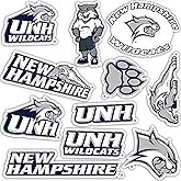 Desert Cactus University of New Hampshire Sticker Wildcats Vinyl Decals Laptop Water Bottle Car Scrapbook T2 (Type 2)