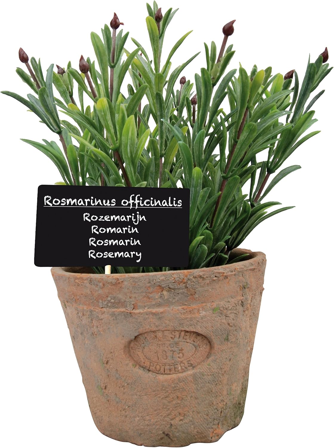 Esschert's Design AH012 Large Artificial Aged Terracotta Pot Rosemary