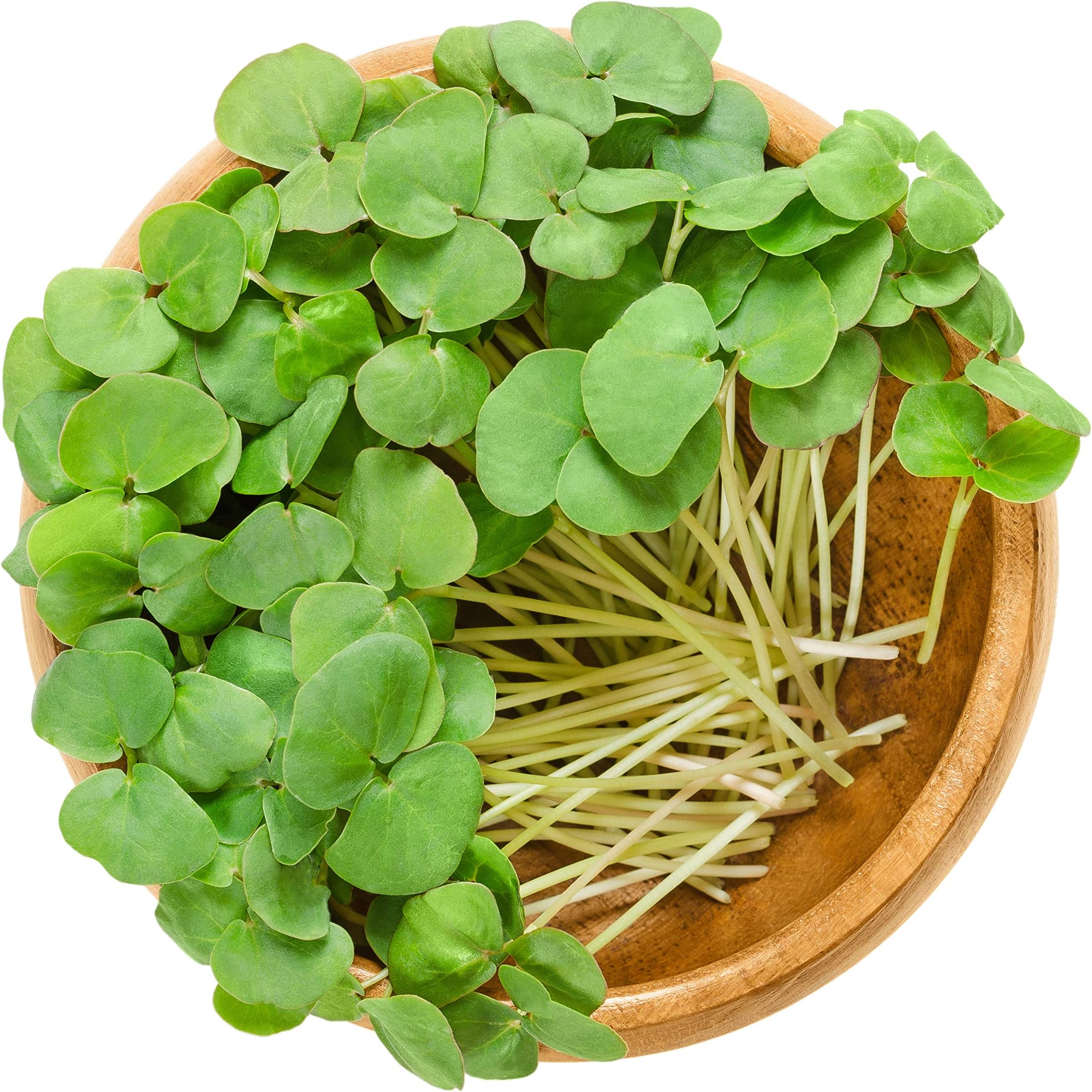Buckwheat Organic Microgreen Seeds - Non-GMO