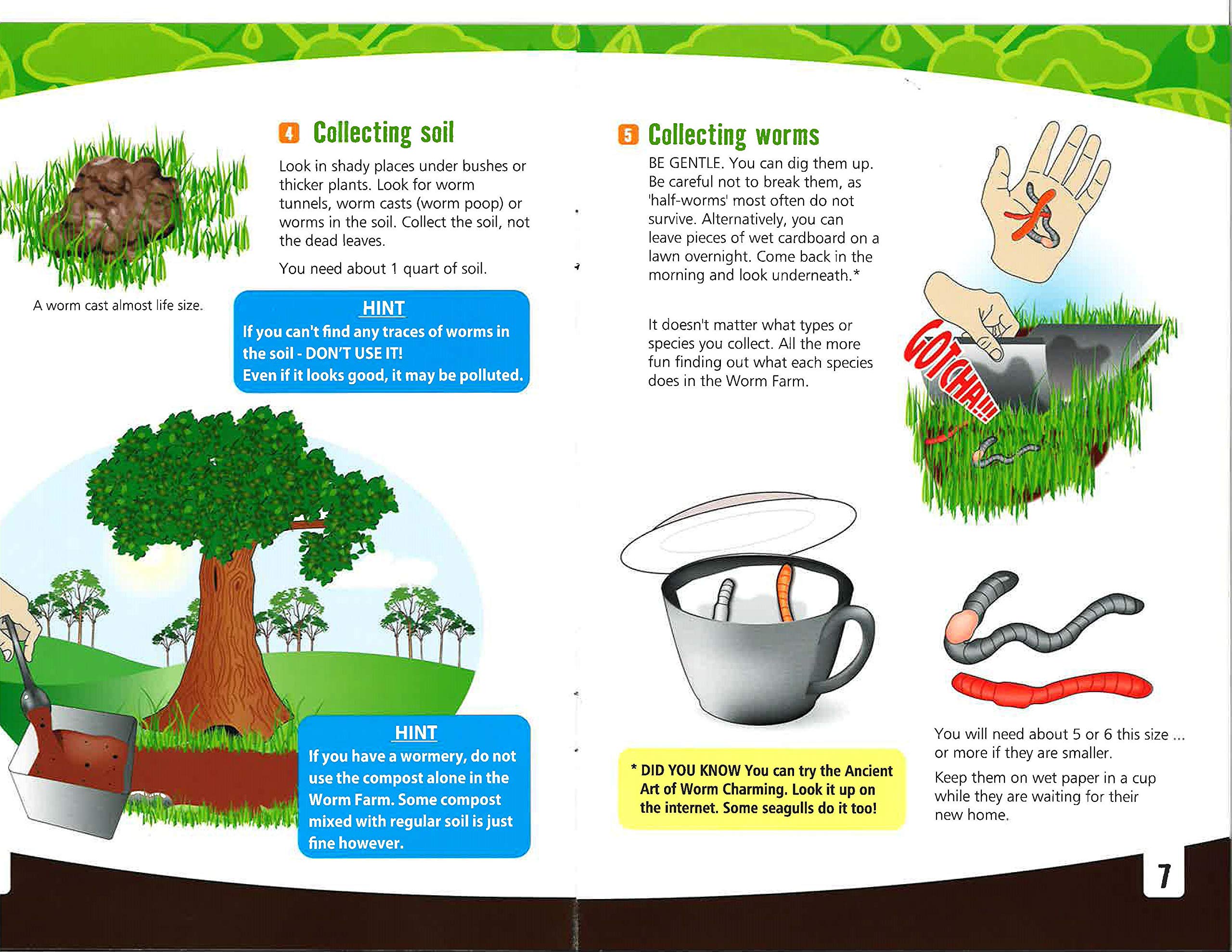 WILD! Science - WS27 Worm Farm - Ages 6+ - In Home Learning Science Kit - Easy Assembly - Worm Farm, Colored Sand, Accessories and Education & Instruction Booklet