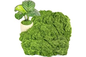 Draupnir Fake Green Moss for Potted Plants, 10.6OZ Fake Moss for Plants Indoor,Faux Moss for Crafts Artificial Moss Decor, DIY Decorative Moss for Fairy Garden Glass Containers Wedding (300g)