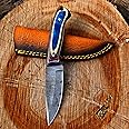HUNTLUX Handmade 8" Fixed Blade Knife with Sheath, Damascus Steel Bushcraft Knife with Wood Handle for EDC and Outdoor Camping