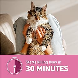 Capstar (nitenpyram) Cat Flea