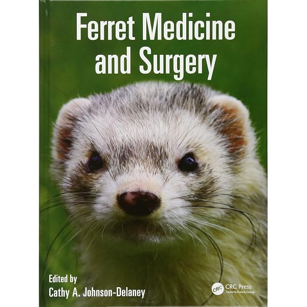 Canine and Feline Respiratory Medicine: Johnson, Lynelle R