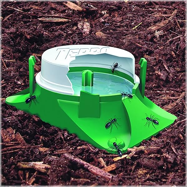 TERRO T1804SR OUTDOOR READY-TO-USE LIQUID ANT BAIT KILLER AND TRAP – KILLS COMMON HOUSEHOLD ANTS – 8 BAIT STATIONS