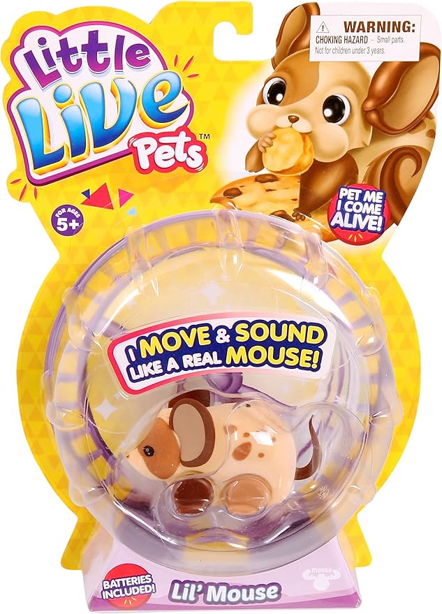 little mouse pet