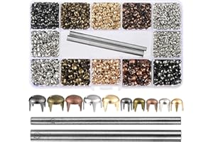 YORANYO 2700 Pcs Mixed Color Claw Beads Nailhead Round Dome Studs Assorted Kit with Setter Storage Box Punk Rivets Studs and Spikes for Leather Craft Clothes Belt Bag Shoes Bracelet Dog Collar Accessories DIY