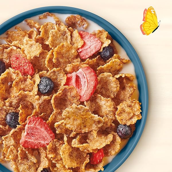 CASCADIAN FARM ORGANIC MIXED BERRY CEREAL, NO ADDED SUGAR, 12.2 OZ