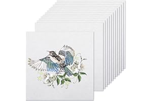 12pcs White Cotton Fabric Squares, Embroidery Fabric Squares, Solid Color Embroidery Cloth for DIY Crafts