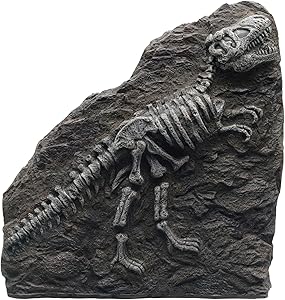 Marina T-Rex Fossil Ornament for Aquarium