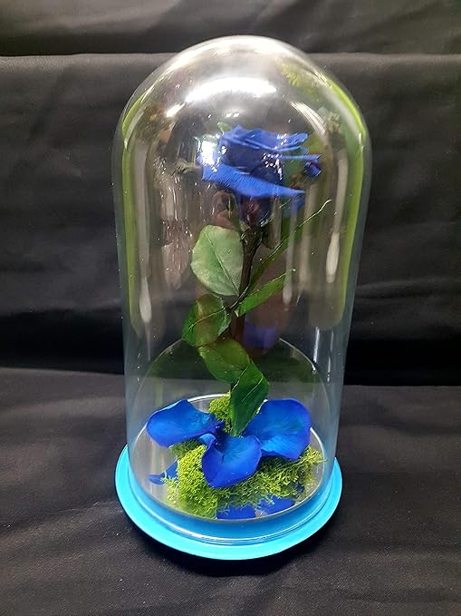 Decoracion Del Hogar Cupula Bella Y Bestia De 35 Cm De Altura Y Rosa Eterna Con Base De Cristal Gratis Tu Envio Remates Artesanales Musgo Liofilizado Petalos Y Hojas De Rosas Preservadas Rosa