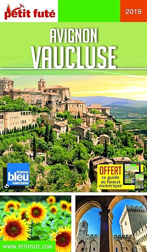 Download Petit Futé Avignon-Vaucluse PDF